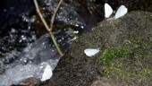 related-post-image