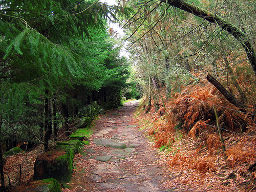 ruta-san-pedro-rocas