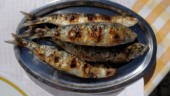 Vista previa del artículo Sardinas Asadas, para saborear Ourense en nuestra casa